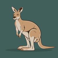 flat Illustration Of Cartoon Kangaroo white background vector