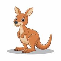 flat Illustration Of Cartoon Kangaroo white background vector