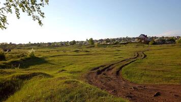 Dirt Road Through Grassy Field video