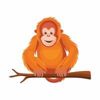 Orangutan illustration on White Background vector