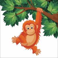 Orangutan illustration on White Background vector