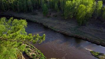 Aerial View of River Surrounded by Trees video