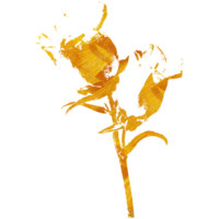 goud bloemen en vertrekken illustratie png