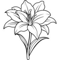 Amaryllis Flower outline illustration coloring book page design, Amaryllis Flower black and white line art drawing coloring book pages for children and adults vector