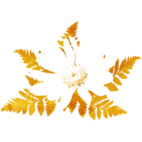 Gold Floral and leave Illustration png