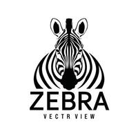 zebra black and white illustration vector