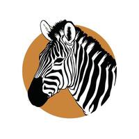 zebra black and white illustration vector