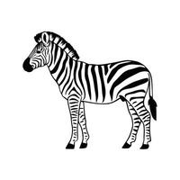 zebra black and white illustration vector