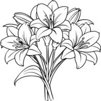 Amaryllis Flower outline illustration coloring book page design, Amaryllis Flower black and white line art drawing coloring book pages for children and adults vector