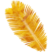 oro floreale e partire illustrazione png