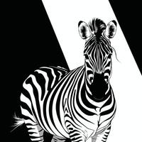 cebra negro y blanco ilustración vector