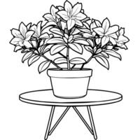 Azalea flower outline illustration coloring book page design, Azalea flower black and white line art drawing coloring book pages for children and adults vector