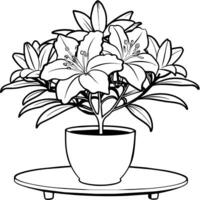 Azalea flower outline illustration coloring book page design, Azalea flower black and white line art drawing coloring book pages for children and adults vector