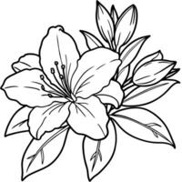 Azalea flower outline illustration coloring book page design, Azalea flower black and white line art drawing coloring book pages for children and adults vector