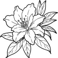 Azalea flower outline illustration coloring book page design, Azalea flower black and white line art drawing coloring book pages for children and adults vector