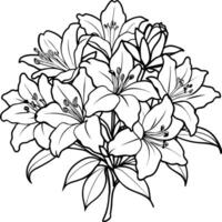 Azalea flower outline illustration coloring book page design, Azalea flower black and white line art drawing coloring book pages for children and adults vector