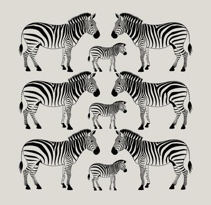 zebra black and white illustration