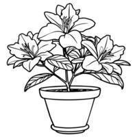 Azalea flower outline illustration coloring book page design, Azalea flower black and white line art drawing coloring book pages for children and adults vector