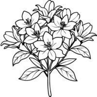 Azalea flower outline illustration coloring book page design, Azalea flower black and white line art drawing coloring book pages for children and adults vector