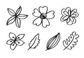 a collection of hand-drawn flower images such as bell flower, chrysanthemums, sunflowers, cotton flowers, and tropical leaves vector