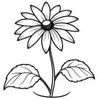 Black Eyed Susan flower outline illustration coloring book page design, Azalea flower black and white line art drawing coloring book pages for children and adults vector