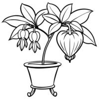 Bleeding Heart flower outline illustration coloring book page design, Bleeding Heart flower black and white line art drawing coloring book pages for children and adults vector