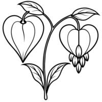 Bleeding Heart flower outline illustration coloring book page design, Bleeding Heart flower black and white line art drawing coloring book pages for children and adults vector