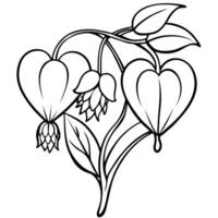 Bleeding Heart flower outline illustration coloring book page design, Bleeding Heart flower black and white line art drawing coloring book pages for children and adults vector