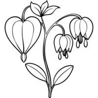 Bleeding Heart flower outline illustration coloring book page design, Bleeding Heart flower black and white line art drawing coloring book pages for children and adults vector