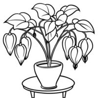 Bleeding Heart flower outline illustration coloring book page design, Bleeding Heart flower black and white line art drawing coloring book pages for children and adults vector