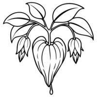 Bleeding Heart flower outline illustration coloring book page design, Bleeding Heart flower black and white line art drawing coloring book pages for children and adults vector