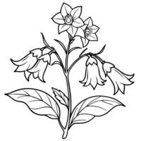 Canterbury Bells flower outline illustration coloring book page design, Canterbury Bells flower black and white line art drawing coloring book pages for children and adults vector