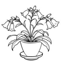 Canterbury Bells flower outline illustration coloring book page design, Canterbury Bells flower black and white line art drawing coloring book pages for children and adults vector