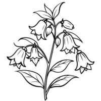 Canterbury Bells flower outline illustration coloring book page design, Canterbury Bells flower black and white line art drawing coloring book pages for children and adults vector