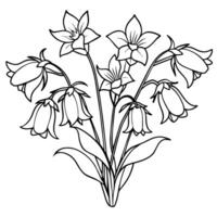 Canterbury Bells flower outline illustration coloring book page design, Canterbury Bells flower black and white line art drawing coloring book pages for children and adults vector