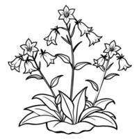 Canterbury Bells flower outline illustration coloring book page design, Canterbury Bells flower black and white line art drawing coloring book pages for children and adults vector