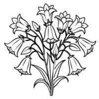 Canterbury campanas flor contorno ilustración colorante libro página diseño, Canterbury campanas flor negro y blanco línea Arte dibujo colorante libro paginas para niños y adultos vector