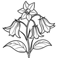 Canterbury Bells flower outline illustration coloring book page design, Canterbury Bells flower black and white line art drawing coloring book pages for children and adults vector