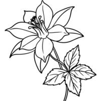 Columbine flower outline illustration coloring book page design, Columbine flower black and white line art drawing coloring book pages for children and adults vector