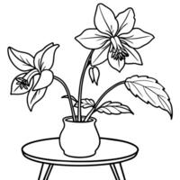 Columbine flower outline illustration coloring book page design, Columbine flower black and white line art drawing coloring book pages for children and adults vector