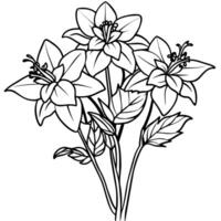 Columbine flower outline illustration coloring book page design, Columbine flower black and white line art drawing coloring book pages for children and adults vector