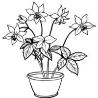 Columbine flower outline illustration coloring book page design, Columbine flower black and white line art drawing coloring book pages for children and adults vector