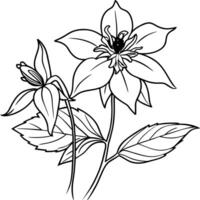 Columbine flower outline illustration coloring book page design, Columbine flower black and white line art drawing coloring book pages for children and adults vector