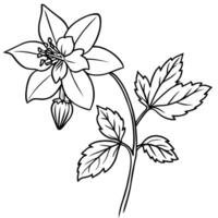 Columbine flower outline illustration coloring book page design, Columbine flower black and white line art drawing coloring book pages for children and adults vector