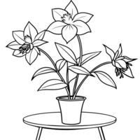 Columbine flower outline illustration coloring book page design, Columbine flower black and white line art drawing coloring book pages for children and adults vector