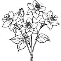 Columbine flower outline illustration coloring book page design, Columbine flower black and white line art drawing coloring book pages for children and adults vector