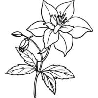 Columbine flower outline illustration coloring book page design, Columbine flower black and white line art drawing coloring book pages for children and adults vector