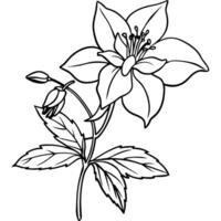 Columbine flower outline illustration coloring book page design, Columbine flower black and white line art drawing coloring book pages for children and adults vector