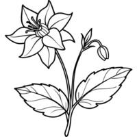 Columbine flower outline illustration coloring book page design, Columbine flower black and white line art drawing coloring book pages for children and adults vector