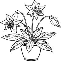 Columbine flower outline illustration coloring book page design, Columbine flower black and white line art drawing coloring book pages for children and adults vector